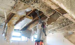 Mold Remediation for Rental Properties in Beaumont, TX